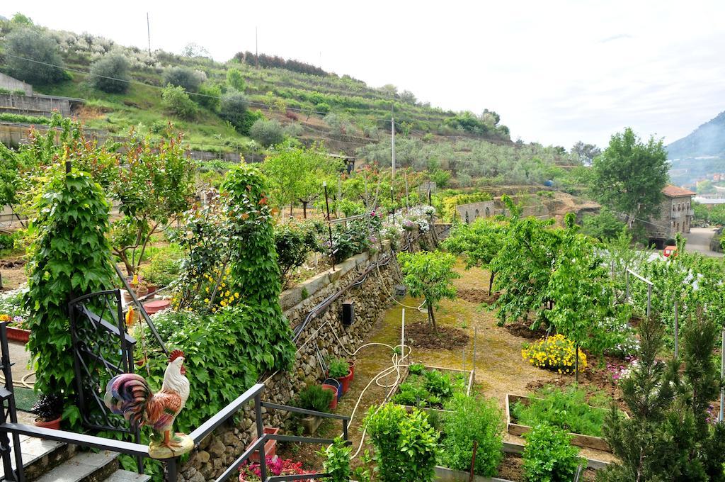 Le Rose Villa San Biagio della Cima Exterior foto