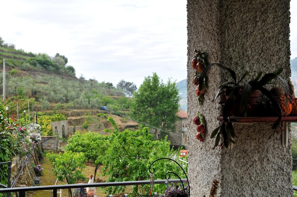 Le Rose Villa San Biagio della Cima Exterior foto