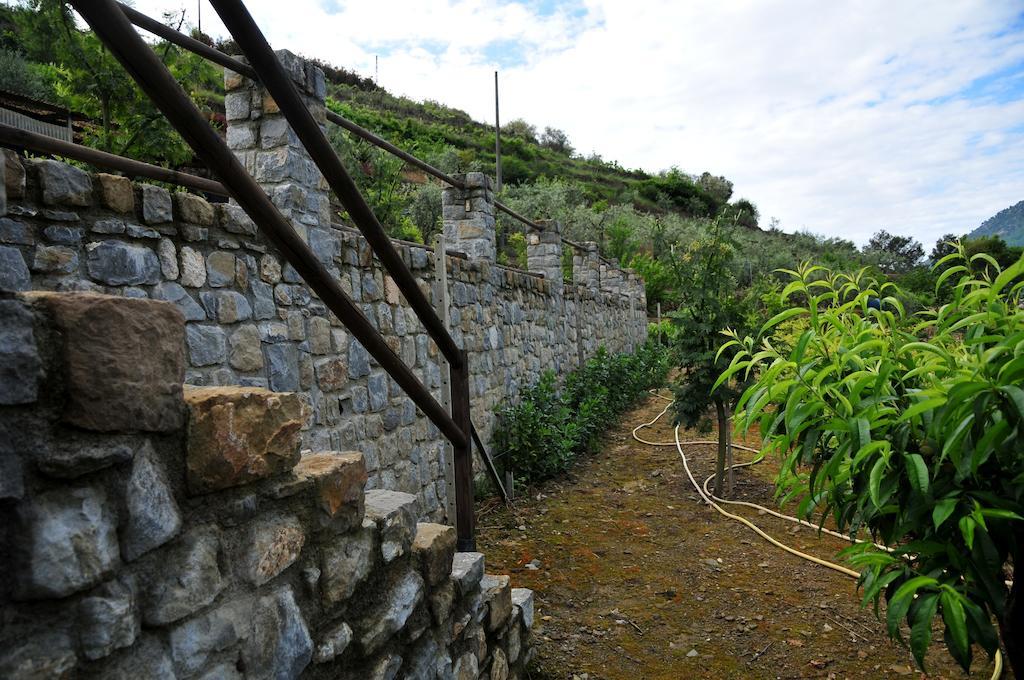 Le Rose Villa San Biagio della Cima Exterior foto